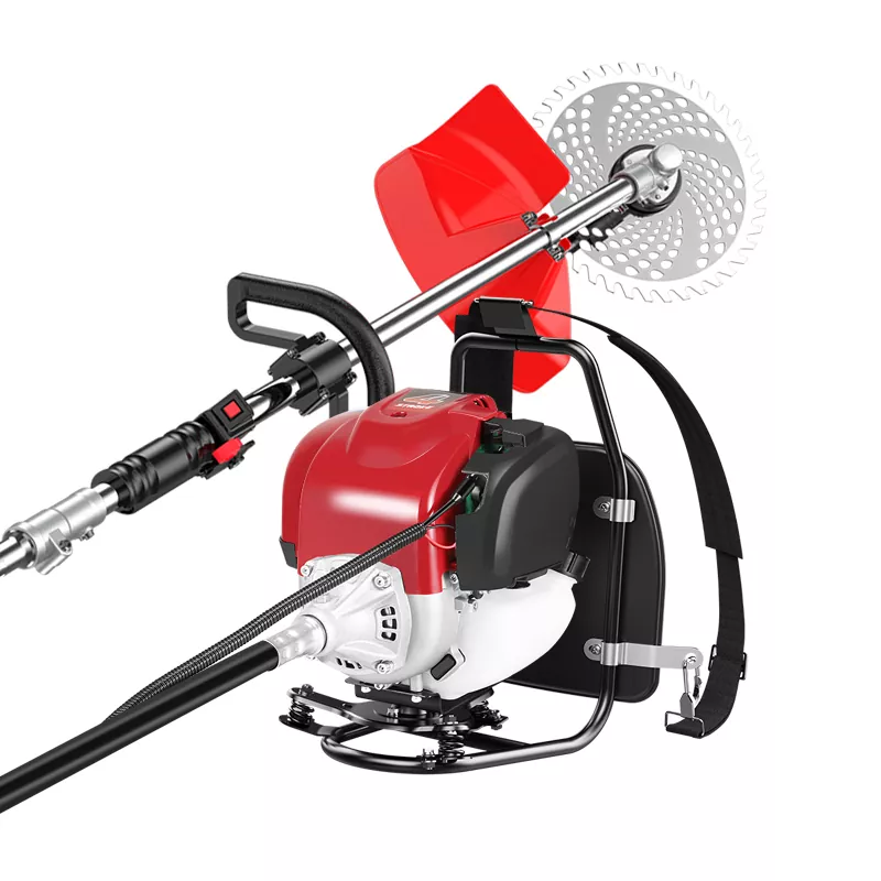 Trimmer de pelouse deviendra un outil indispensable dans la boîte à outils de maintenance de pelouse